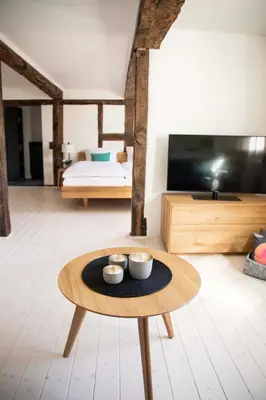 TV/Unterhaltungsangebot in der Unterkunft Kötterhof Hotel