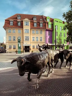 Tiere im Hotel oder in der Nähe