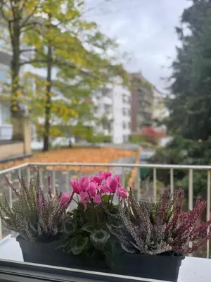 Ein Garten an der Unterkunft Hotel Am Ehrenhof