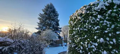 All-in-One Apartment mit eigener Sonnenterrasse im Garten im Winter