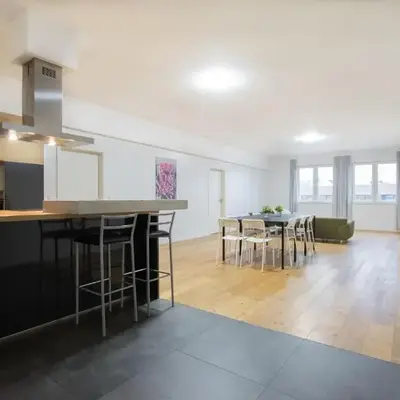 Tolstov Apartments - 250m2 Loft with 6 Rooms im Industriegebiet - 20 Min Messe DUS & Old Town DUS