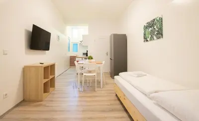 TV/Unterhaltungsangebot in der Unterkunft Tolstov Apartments - 1 or 3 Room Apartments - 20 Min Messe DUS and Old Town DUS