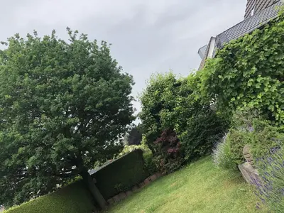 Ein Garten an der Unterkunft Bel Art Atelier mit großem Parkplatz