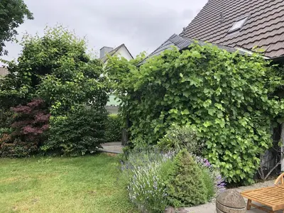 Ein Garten an der Unterkunft Bel Art Atelier mit großem Parkplatz