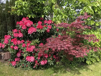 Ein Garten an der Unterkunft Bel Art Atelier mit großem Parkplatz