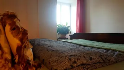 Ein Bett oder Betten in einem Zimmer der Unterkunft Get-your-flat - Mansard-Wohnung in Villa 3 Zr Kü Bad, 85 m2, bis 4 Gäste , Haustier auf Anfrage - ruhig & naturnah - TOP