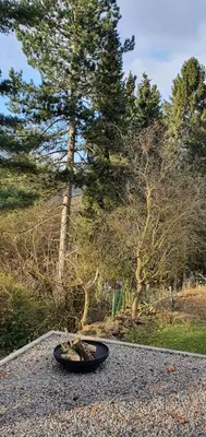 Ein Garten an der Unterkunft 1Step2AllNature Tinyhouse