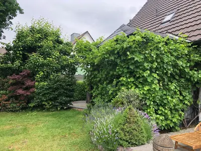 Ein Garten an der Unterkunft Bel Art Etage mit großem Parkplatz