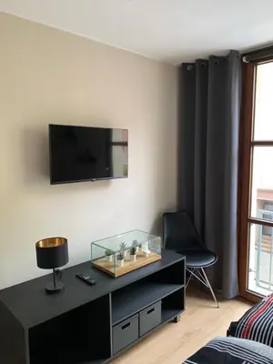 TV/Unterhaltungsangebot in der Unterkunft Kleiner Koenig - Appartement im Stadtzentrum