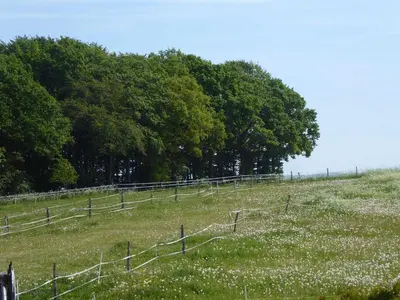 Naturlandschaft in der Nähe der Ferienwohnung