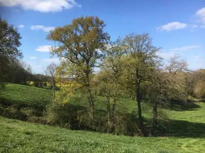Naturlandschaft in der Nähe der Ferienwohnung