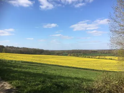 Naturlandschaft in der Nähe der Ferienwohnung
