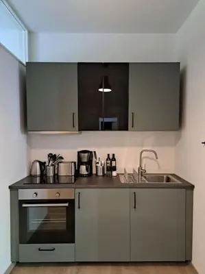 Küche/Küchenzeile in der Unterkunft Waldstadt-Apartments