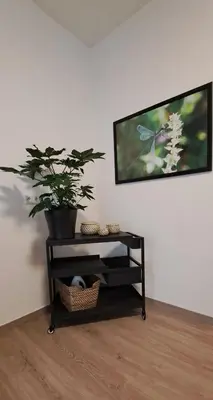 TV/Unterhaltungsangebot in der Unterkunft Waldstadt-Apartments