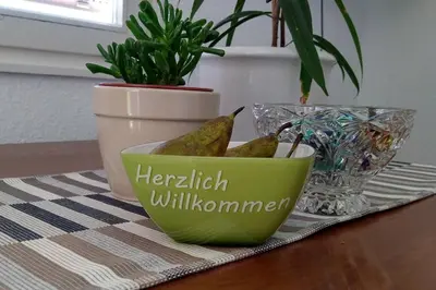 Grundriss der Unterkunft FeWo Johan - ideal für 1-2 Personen, eigene Terrasse