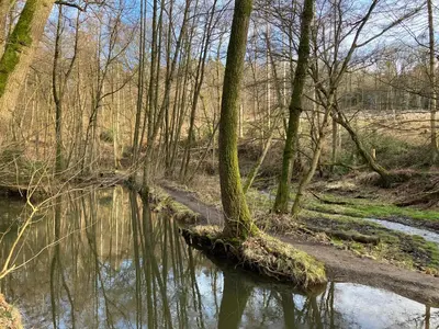 Naturlandschaft in der Nähe der Ferienwohnung