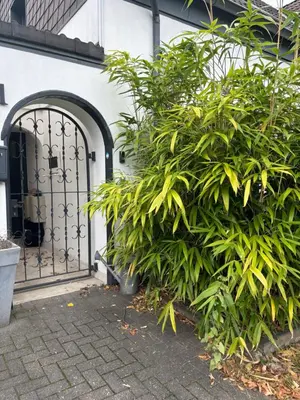 Ein Garten an der Unterkunft Modern Business Studio - 5 Min to DUS Airport & Messe