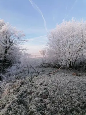 Tinyhouse Zirkuswagen- Kotten Kunterbunt im Winter