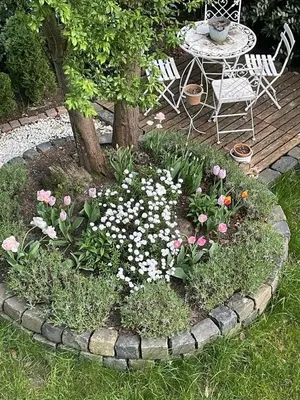 Ein Garten an der Unterkunft Ideale Unterkunft in Düsseldorf-Nord