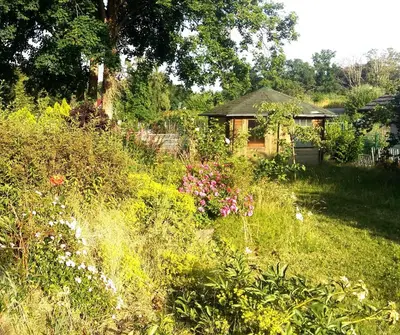 Ein Garten an der Unterkunft LIVING .... Bungalow mit großem Garten .