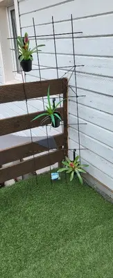 Ein Garten an der Unterkunft UnterwegsZuHause