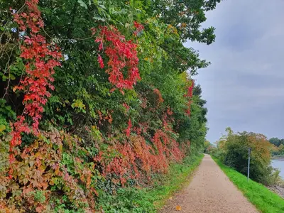 Naturlandschaft in der Nähe der Ferienwohnung