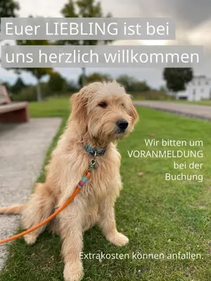 Haustiere von Gästen der Unterkunft FeWo Clemens - Wohnküche + 2 Schlafräume + Bad + Terrasse