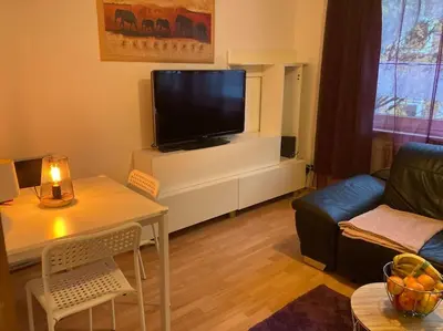 TV/Unterhaltungsangebot in der Unterkunft Apartment am Rhein ganze Wohnung NETFLIX Internet 1000 Mbits, free Parking