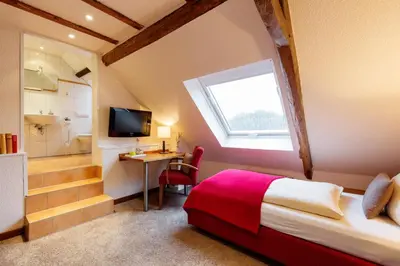 TV/Unterhaltungsangebot in der Unterkunft Hotel Das Kemperdick