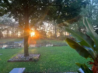 Ein Garten an der Unterkunft Dreckerhook, oasis to slow down!