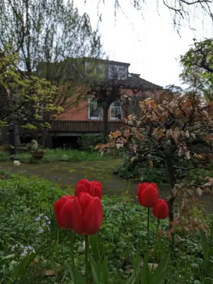 Ein Garten an der Unterkunft HEIDEWAY KOMPLETTE Wohnung FREI Parken TOP Anbindung A46
